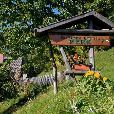 Villa Turisticna Kmetija Perk Solčava Esterno foto