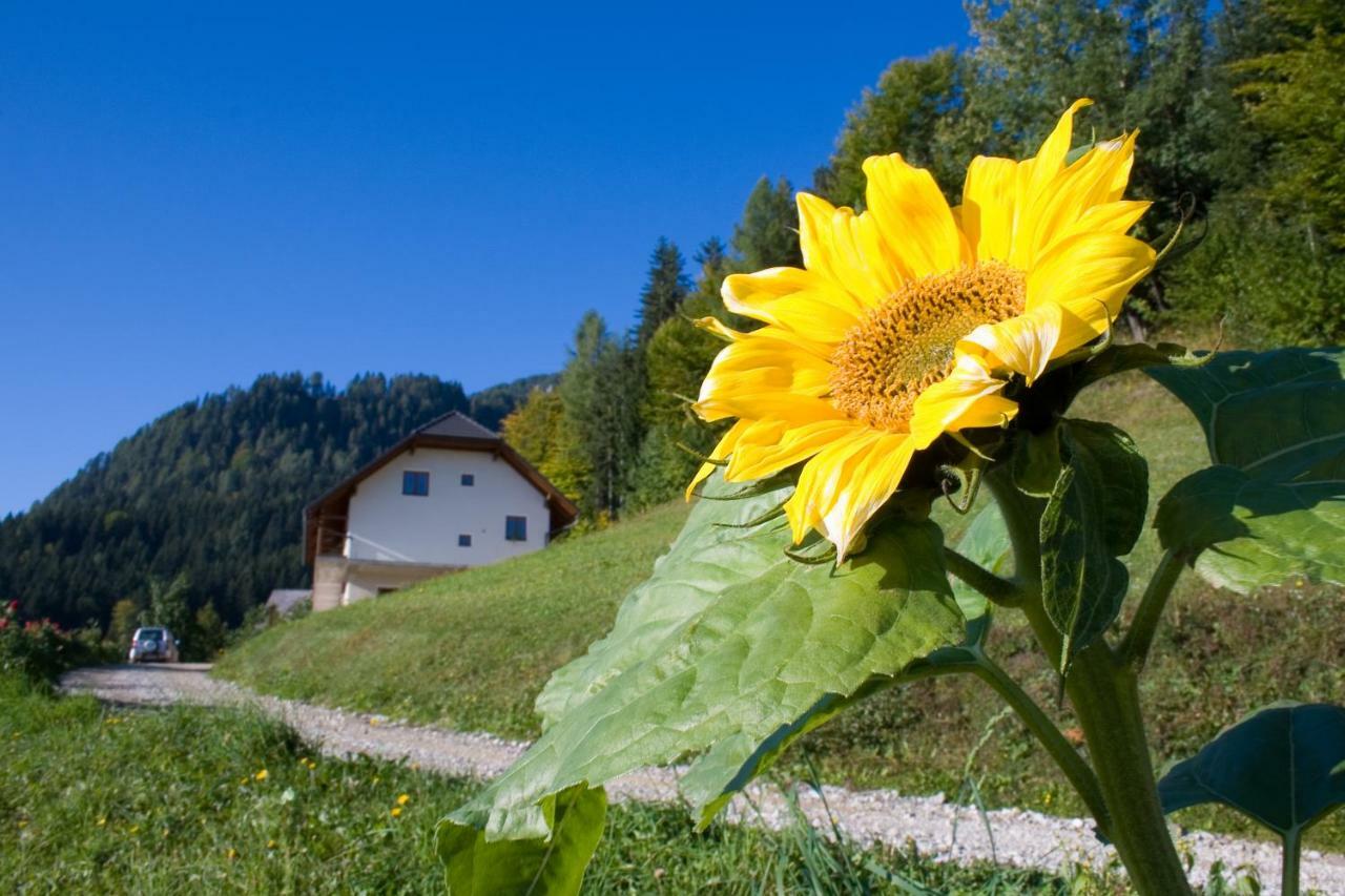 Villa Turisticna Kmetija Perk Solčava Esterno foto