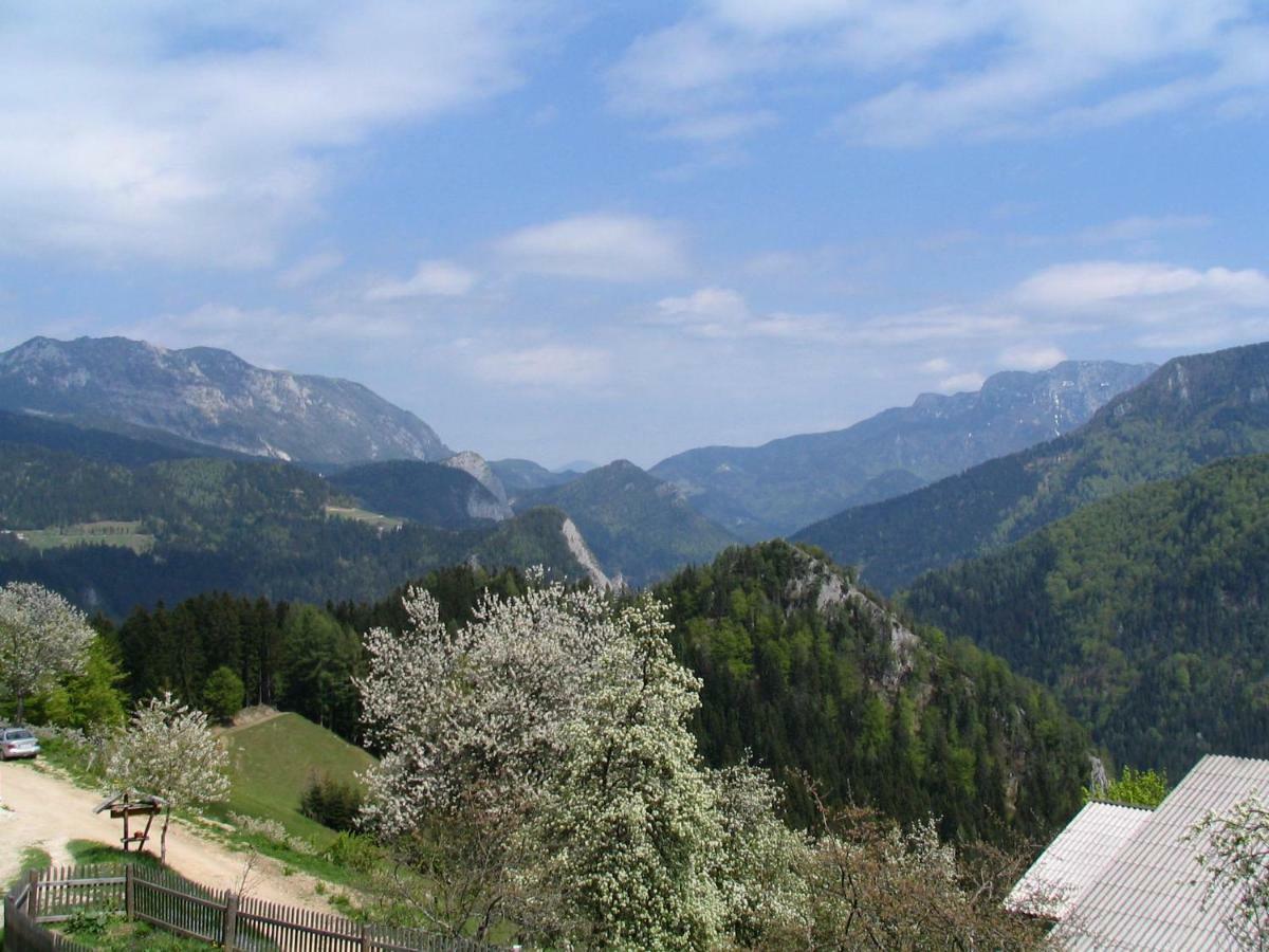 Villa Turisticna Kmetija Perk Solčava Esterno foto