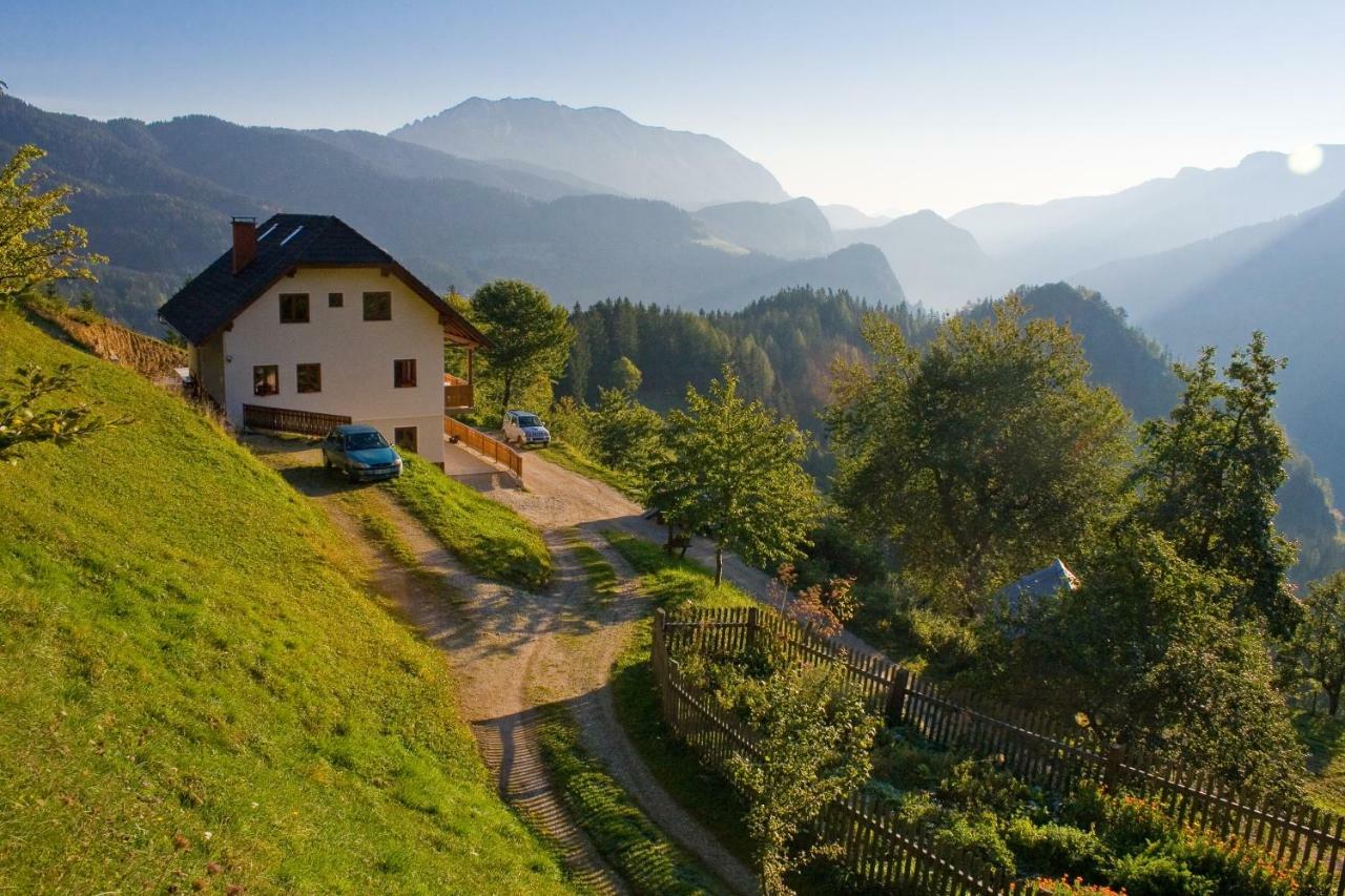 Villa Turisticna Kmetija Perk Solčava Esterno foto