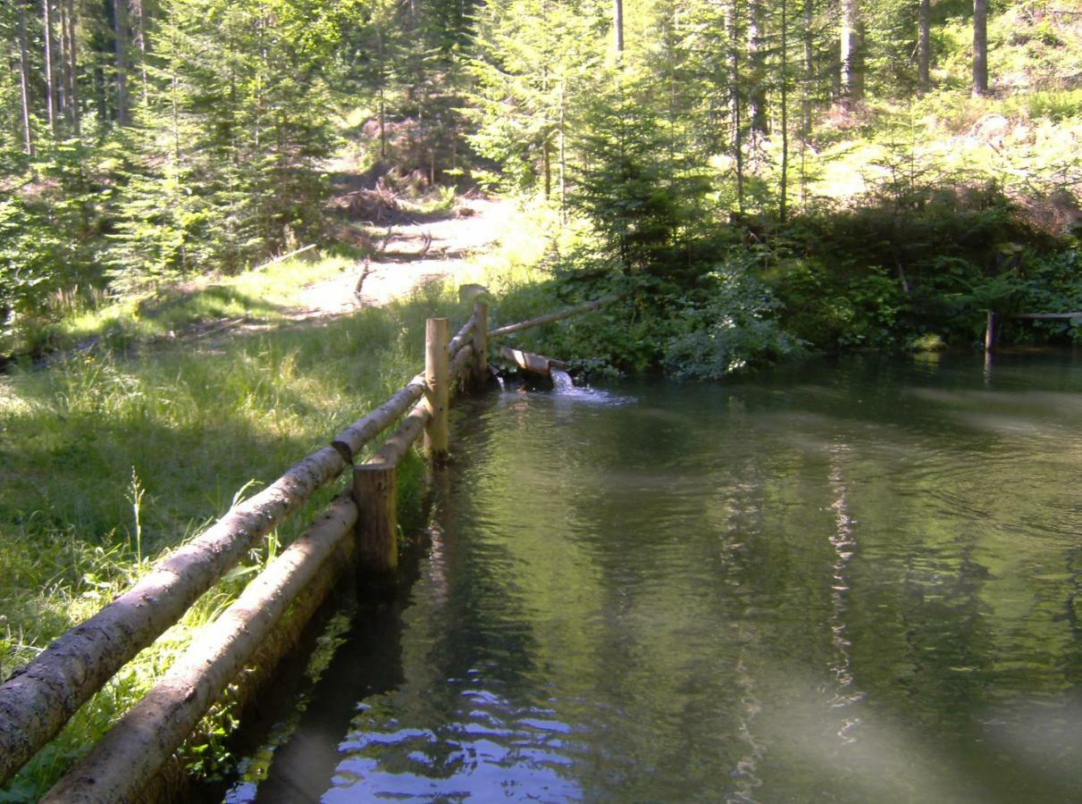 Villa Turisticna Kmetija Perk Solčava Esterno foto