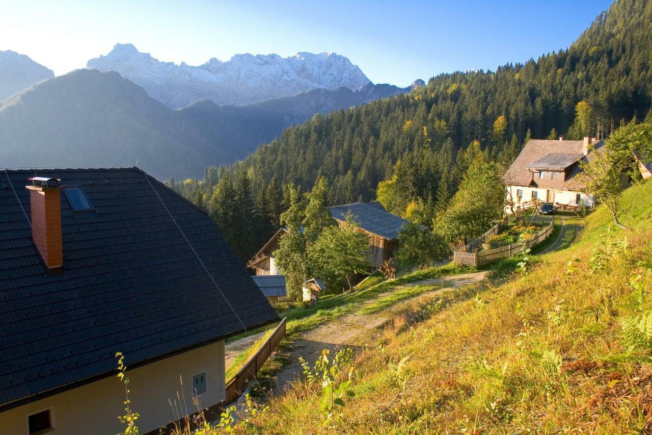 Villa Turisticna Kmetija Perk Solčava Esterno foto
