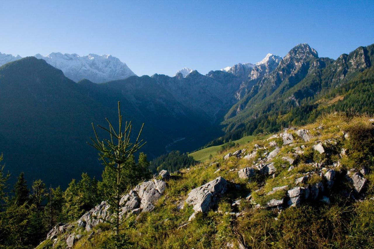 Villa Turisticna Kmetija Perk Solčava Esterno foto