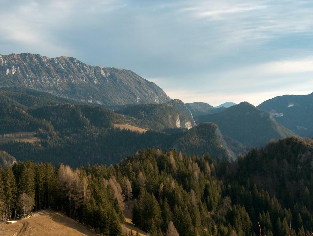 Villa Turisticna Kmetija Perk Solčava Esterno foto