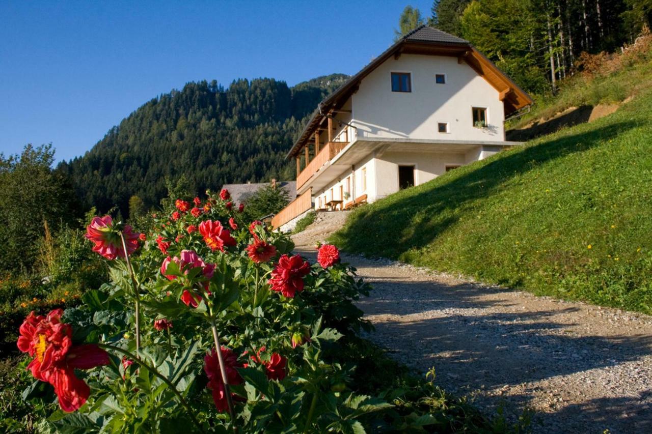 Villa Turisticna Kmetija Perk Solčava Esterno foto