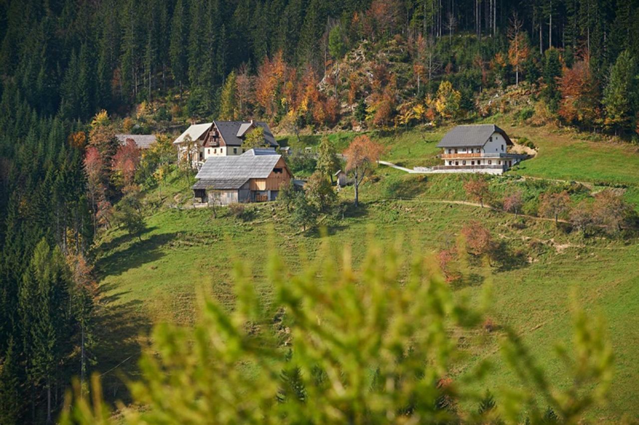 Villa Turisticna Kmetija Perk Solčava Esterno foto
