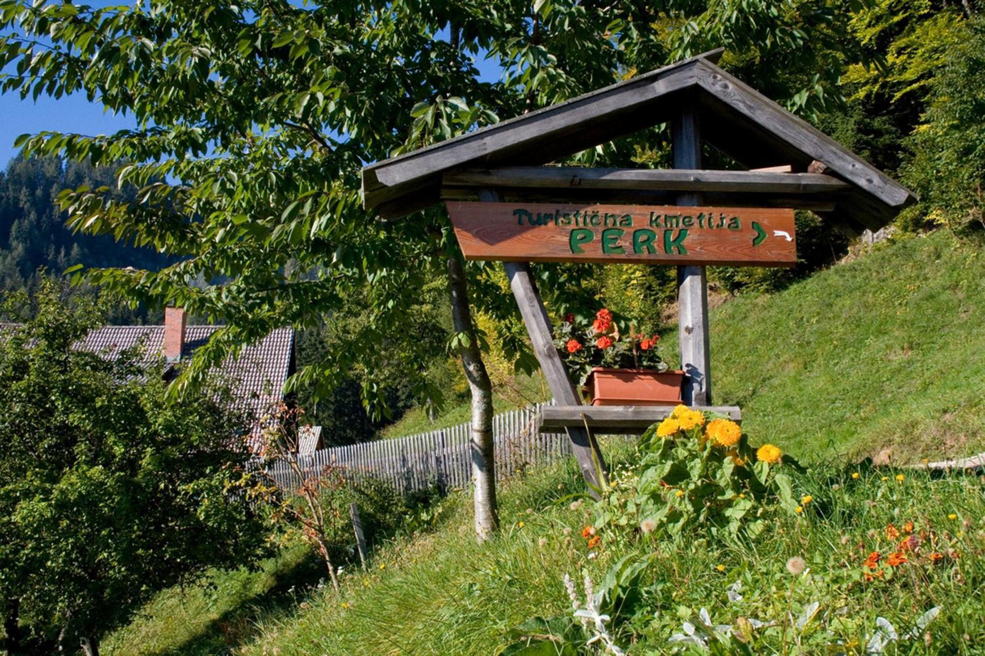 Villa Turisticna Kmetija Perk Solčava Esterno foto