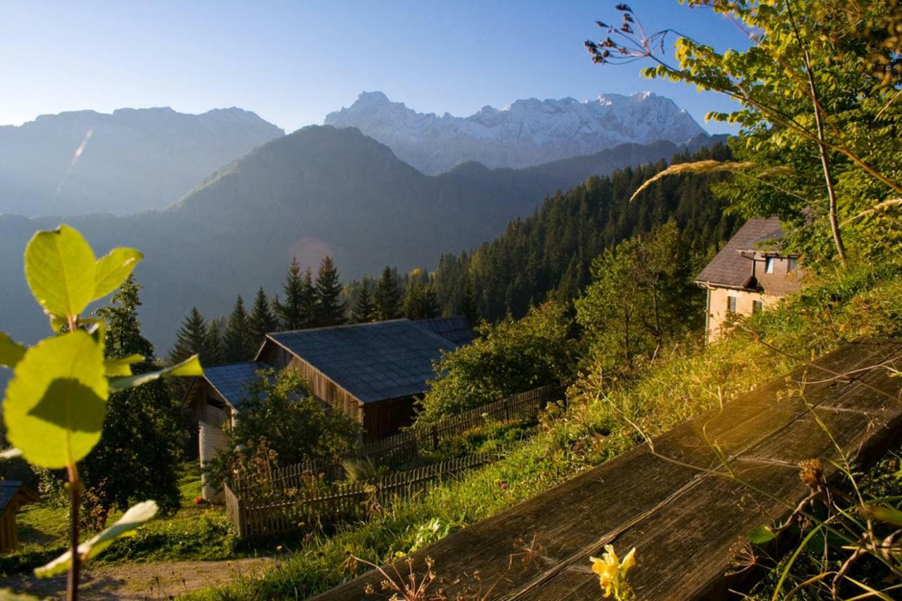 Villa Turisticna Kmetija Perk Solčava Esterno foto