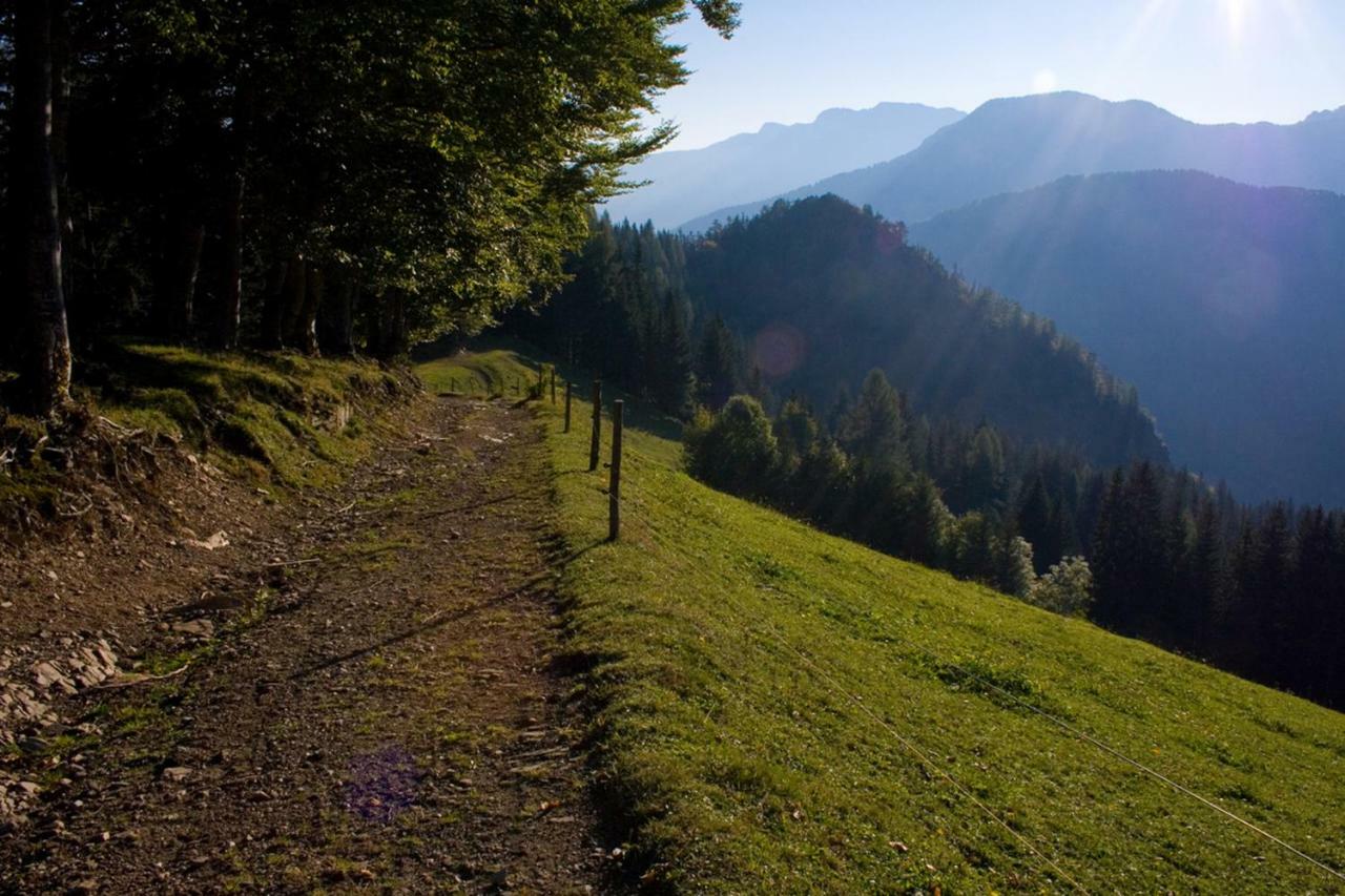 Villa Turisticna Kmetija Perk Solčava Esterno foto