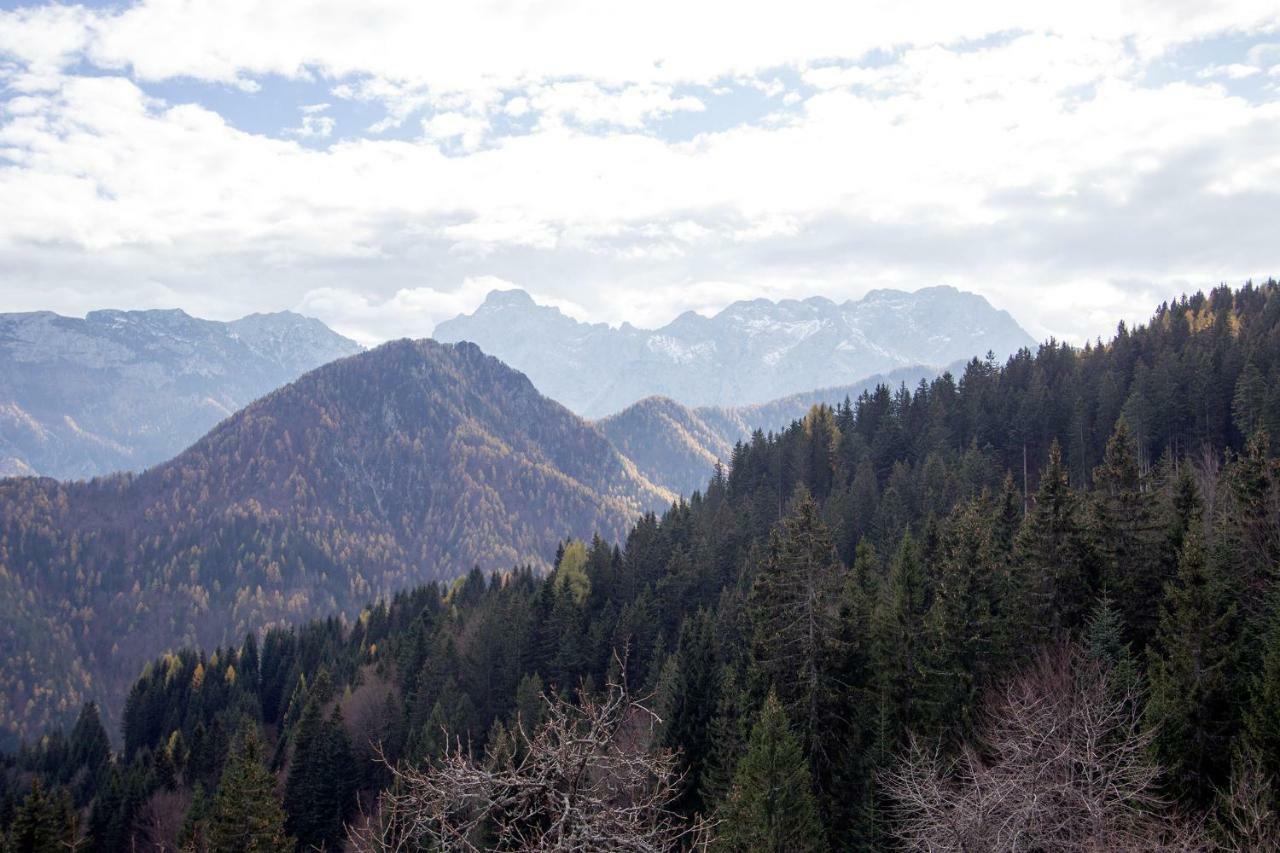 Villa Turisticna Kmetija Perk Solčava Esterno foto